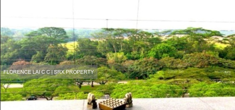 Blk 409 Jurong West Street 42 (Jurong West), HDB Executive #219010071